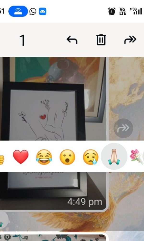 WhatsApp Image 2026-02-18 at 2.43.36 PM (1)